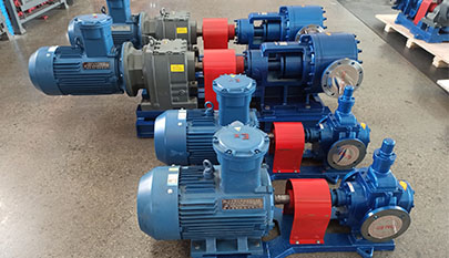 Heavy Duty Stainless Steel Gear Pump