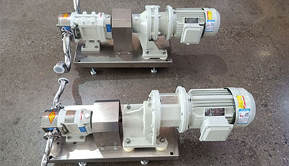 stainless steel rotor pump