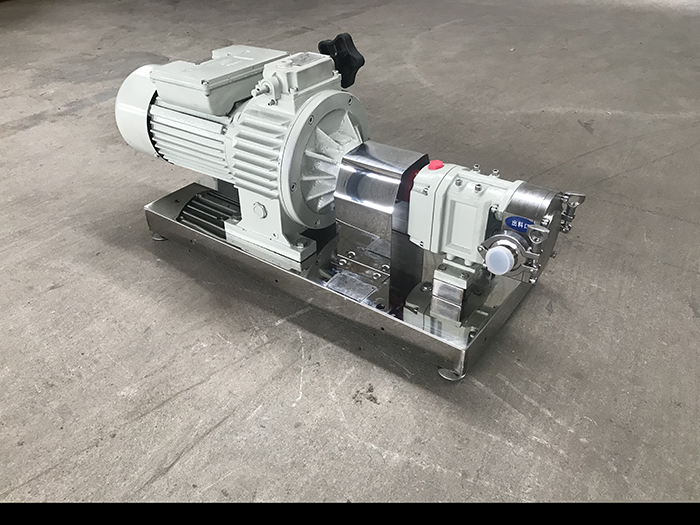 transport rotary rotor pump