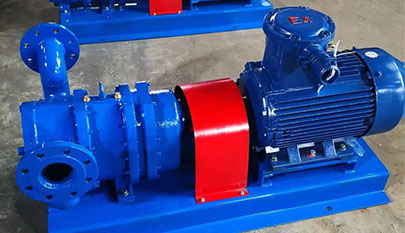 transfer rotary lobe pump