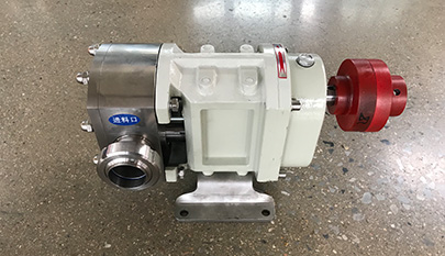 rotary lobe pump