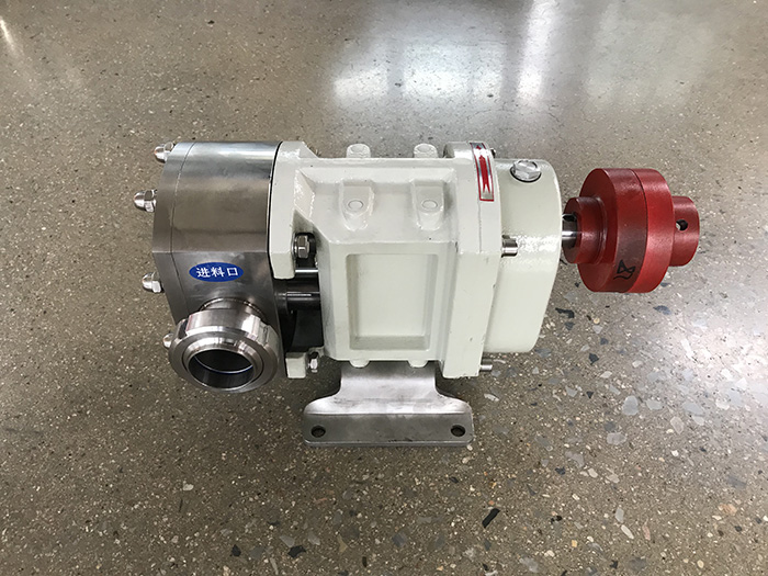 rotary lobe pump