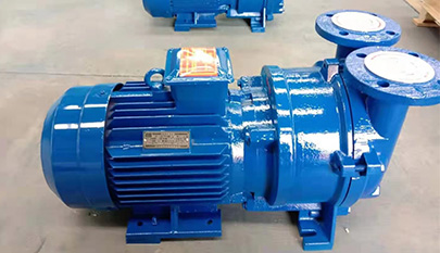 Single stage liquid ring vacuum pump