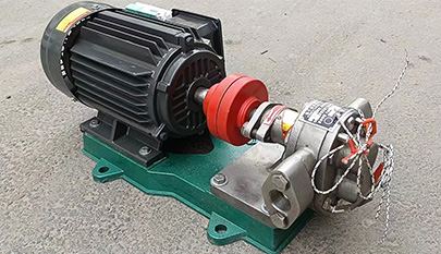 Stainless Steel gear Pump