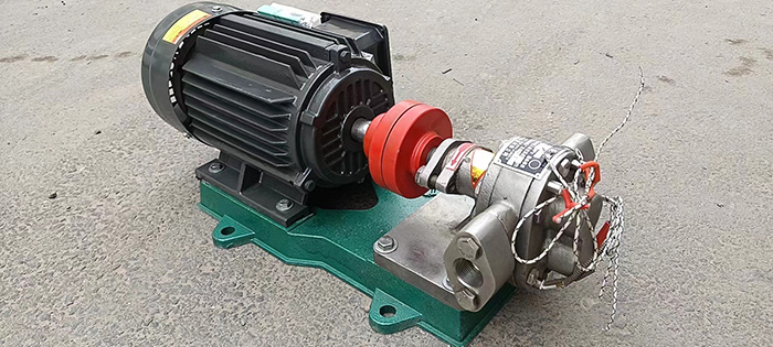 Stainless Steel gear Pump