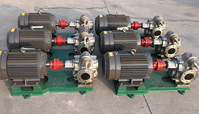 stainless steel gear pump