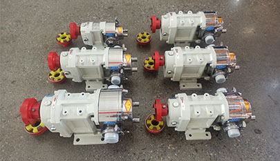 Stainless Steel Lobe Pump
