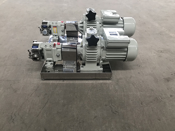 stainless steel lobe pump