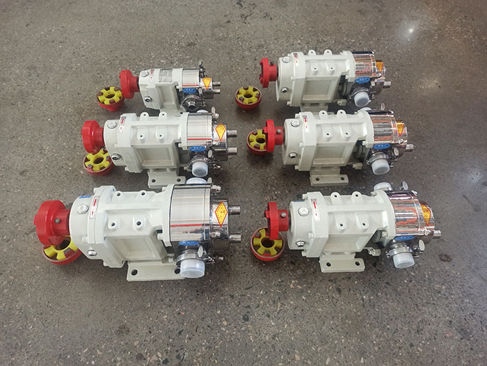 Lobe rotor pump