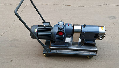 Mobile stainless steel rotor pump