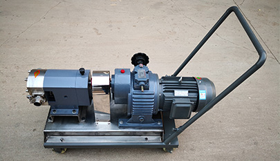 Mobile stainless steel rotor pump