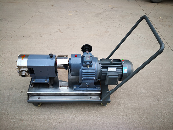 Mobile stainless steel rotor pump