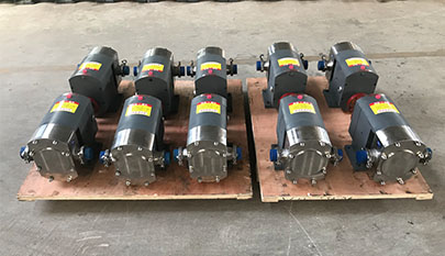 Rotary lobe pump