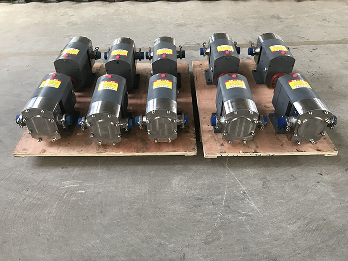 Rotary lobe pump