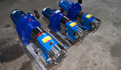 Range of high performance Rotary lobe pumps