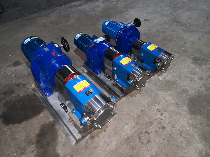 Range of high performance Rotary lobe pumps