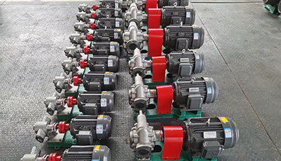 Stainless steel gear pump