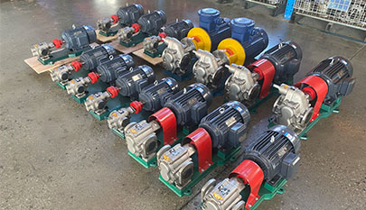Rotary Lobe Pump 3RP