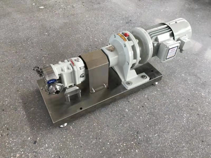 Rotary Lobe Pump