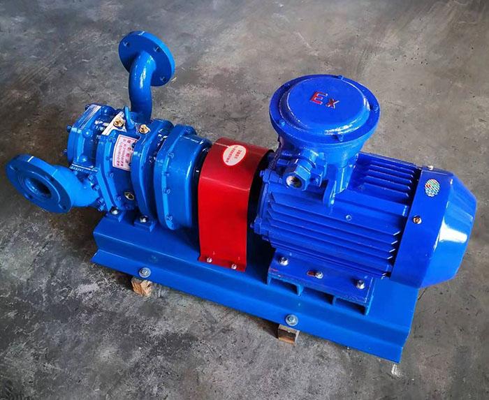 stainless steel rotor pumps