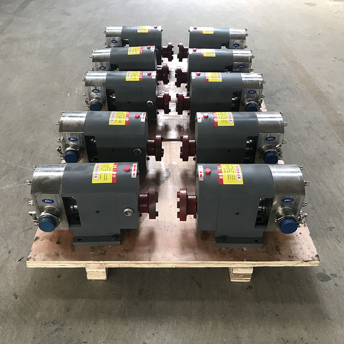 Rotary lobe pumps