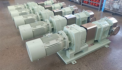 Rotary type double rotor pump