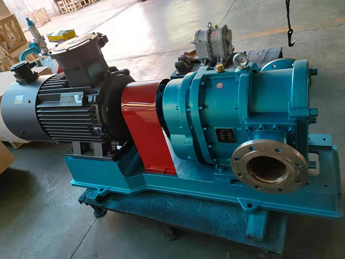 Rotor lobe pump