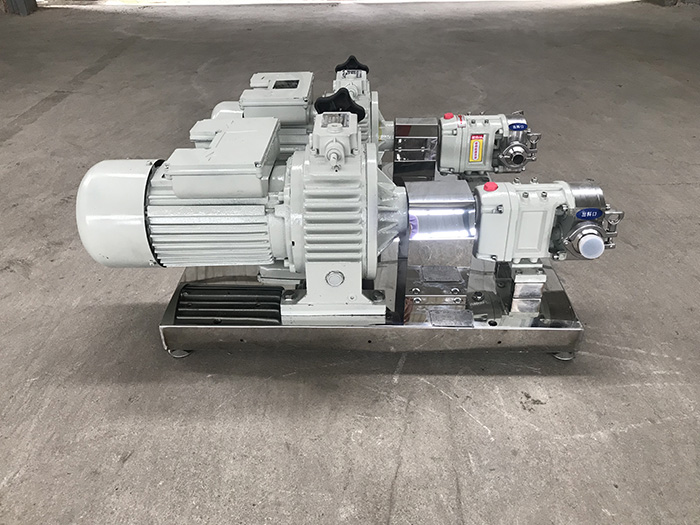 SS304 rotary lobe pump