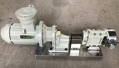 Sanitary stainless steel cam rotor pump