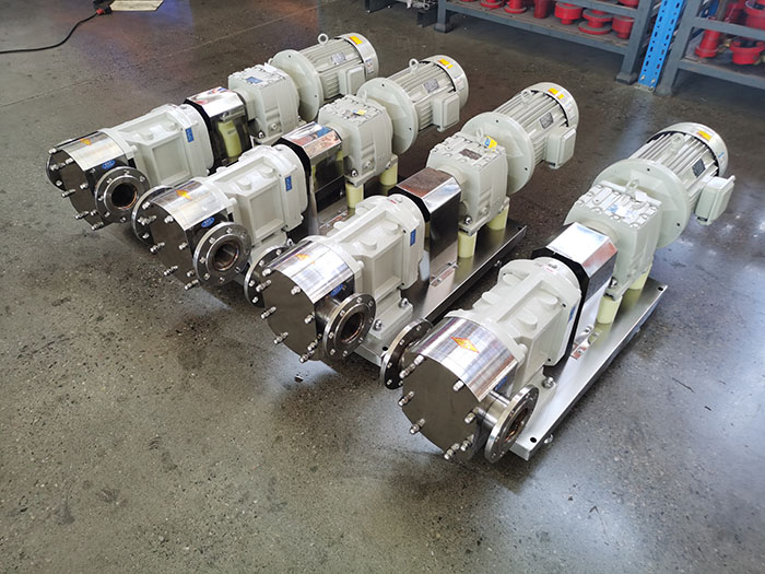 Rotary lobe pump
