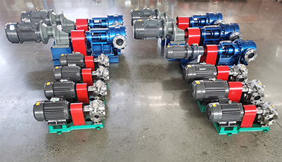 Stainless steel transfer pump