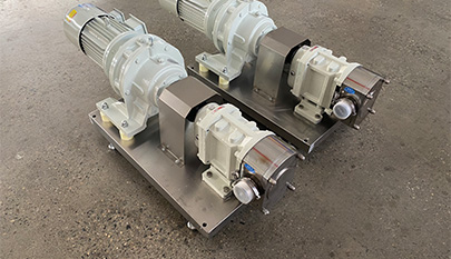 Stainless steel lobe pump