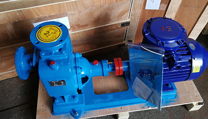 Single-stage centrifugal pumps