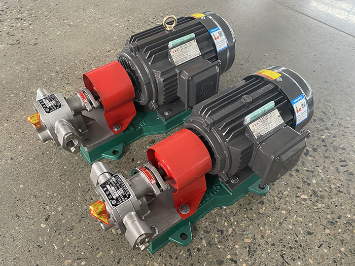 Stainless steel gear pump