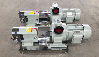 Stainless steel lobe pump
