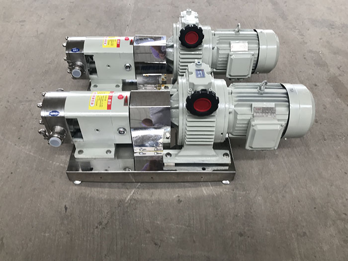 Stainless steel lobe pump