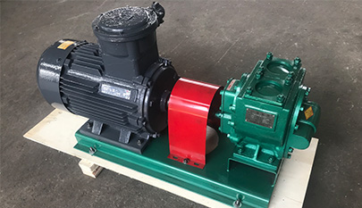 Stainless steel pump,lubricating oil gear pump,food oil pump