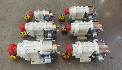 Stainless steel rotor pump