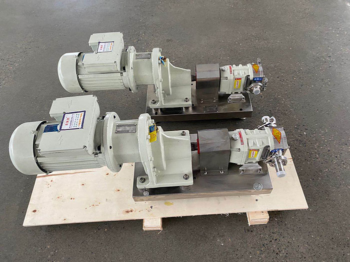 Stainless steel rotary lobe pump