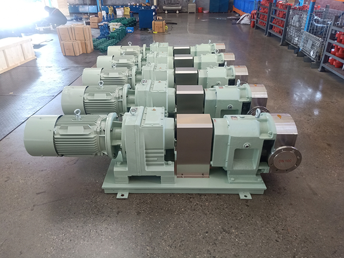 Stainless steel rotary lobe pump