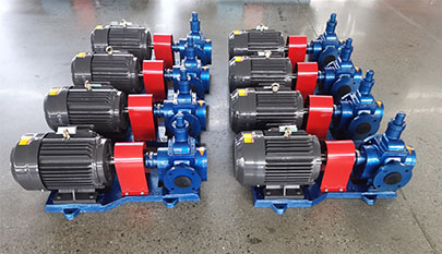 Circular arc gear pump