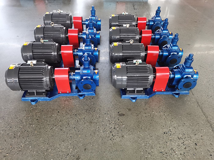 circular arc gear pump