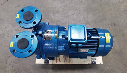 rotary vane pump