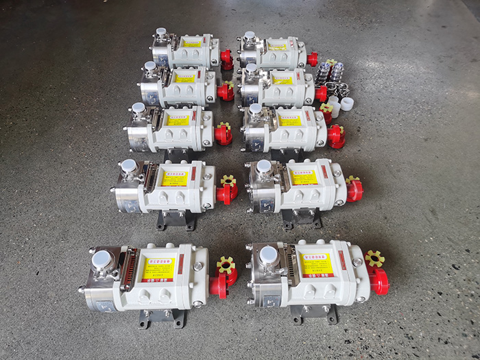 stainless steel rotor pump