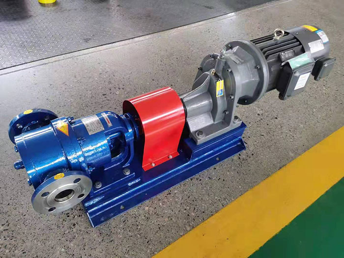 Stainless steel rotor pump