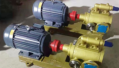 Twin Screw Pumps