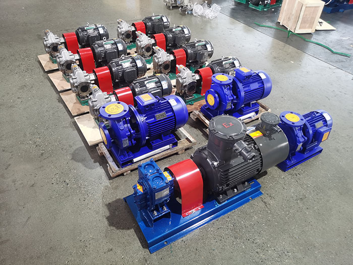 Electric gear pump food