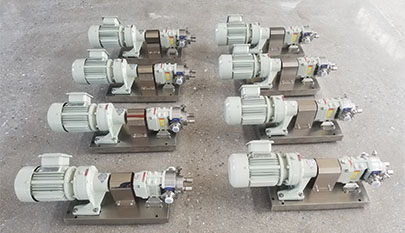 food grade stainless steel rotor pump