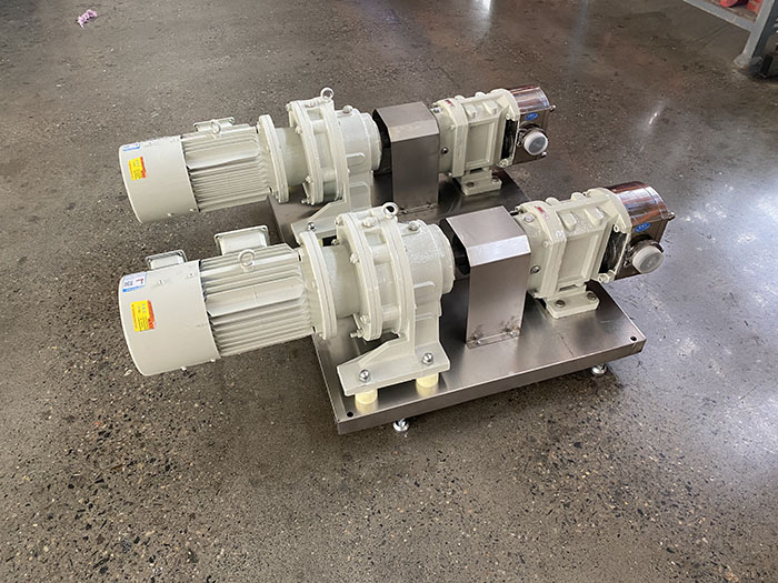 lobe rotor pump