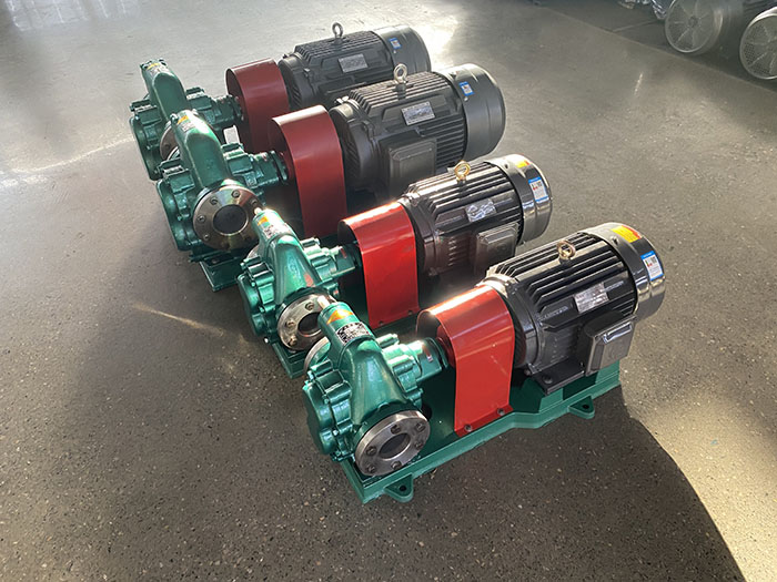 Electric motor gear pump